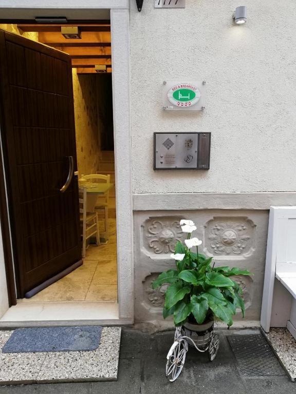 B & B San Domenico Chioggia Eksteriør billede